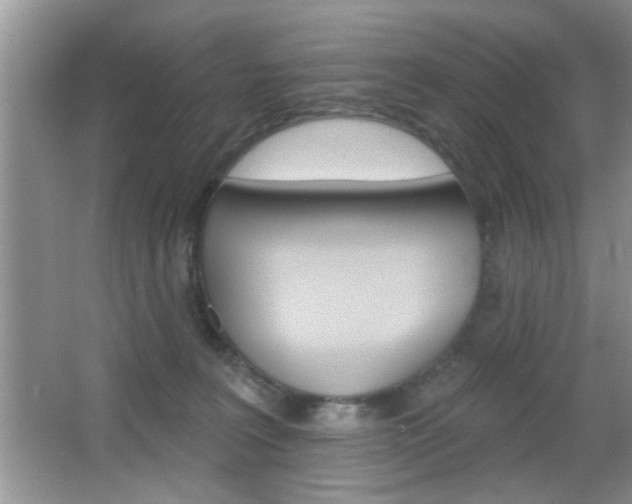 X0000065950227200603030911