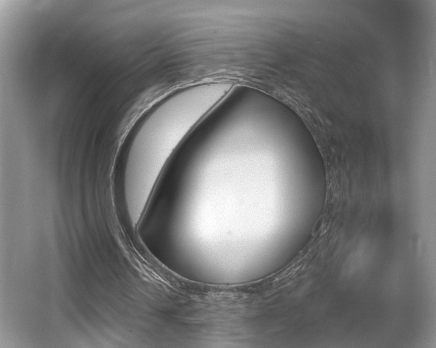 X0000065950242200603030910