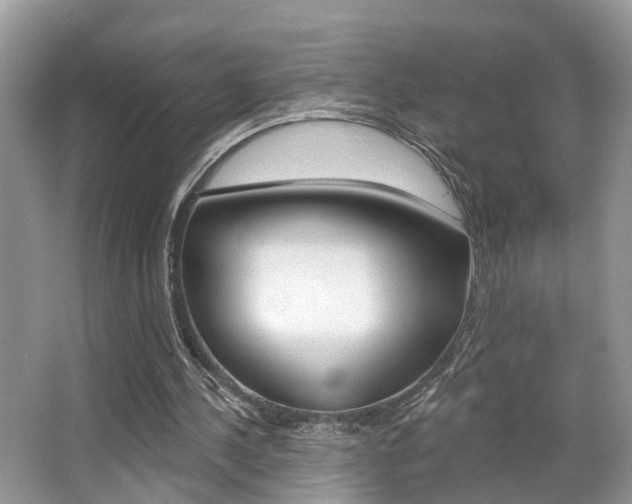 X0000065950244200603030910