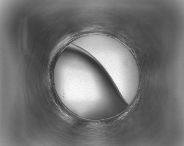 X0000065950245200603030910
