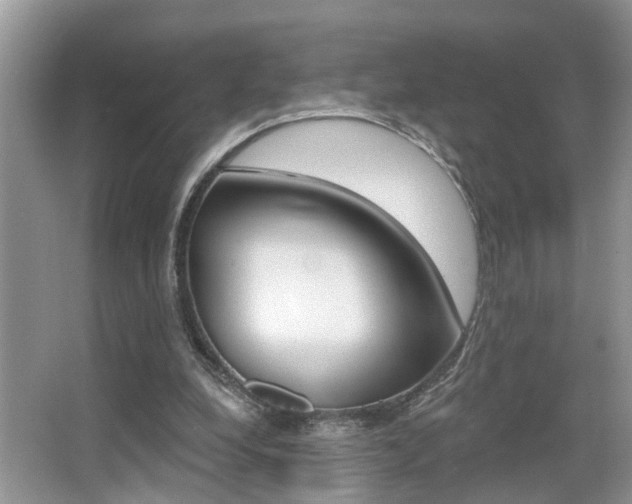 X0000065950248200603030910