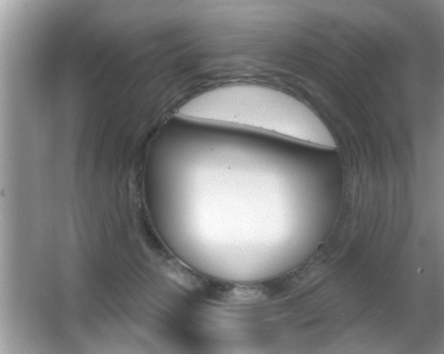 X0000065950270200603030911