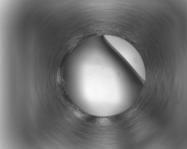 X0000065950287200603030911