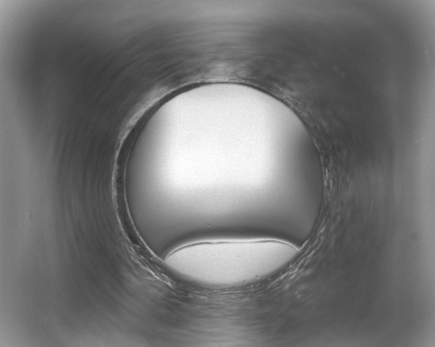 X0000065950292200603030910