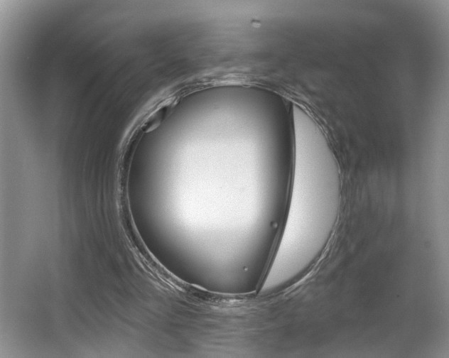 X0000065950293200603030910