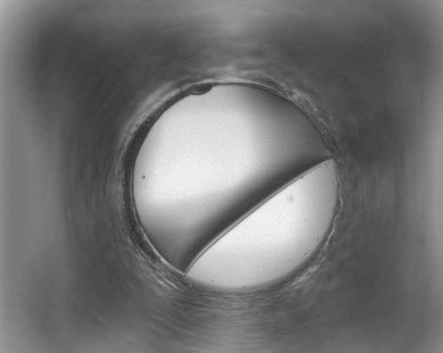 X0000065950295200603030910
