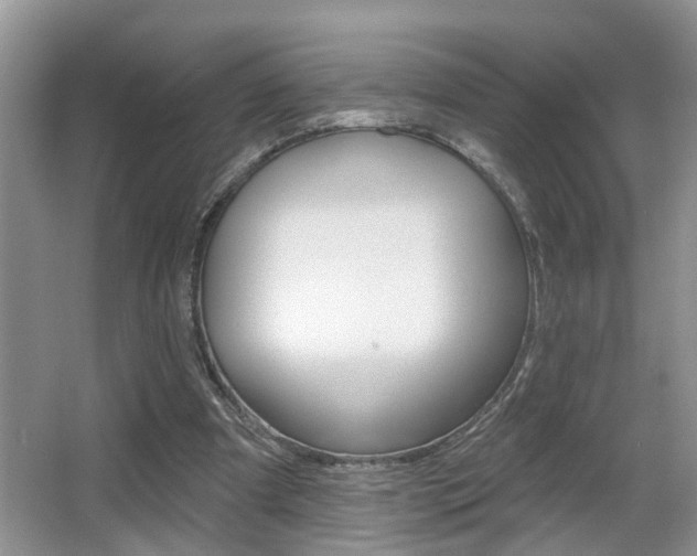 X0000065950297200603030910
