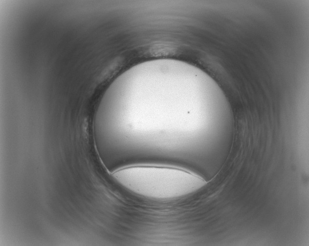 X0000065950308200603030910