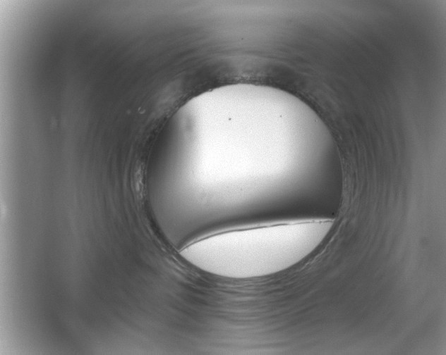 X0000065950336200603030909