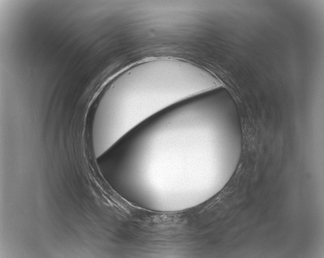 X0000065950338200603030908
