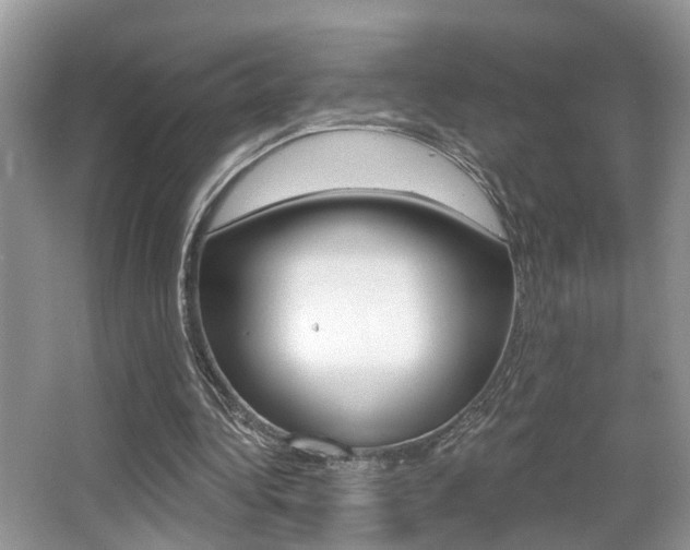 X0000065950340200603030908