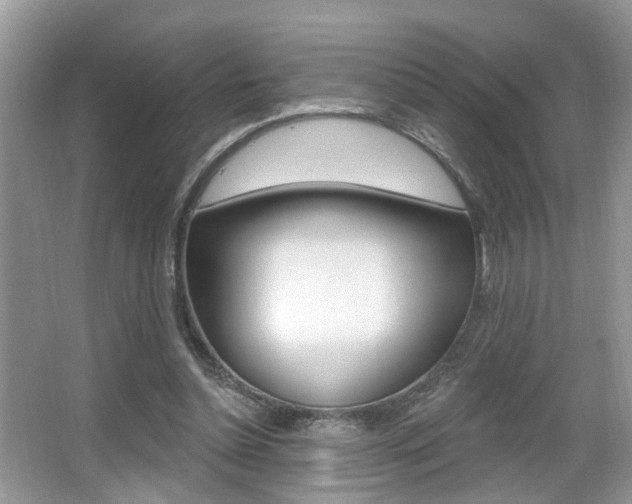 X0000065950348200603030909