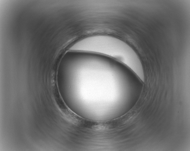X0000065950356200603030909