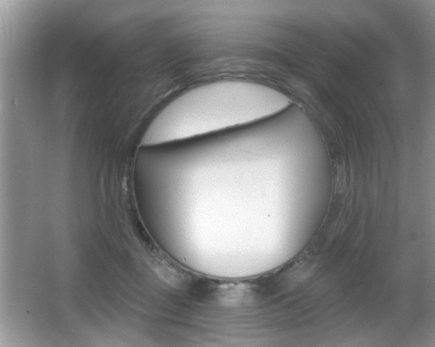 X0000065950363200603030909