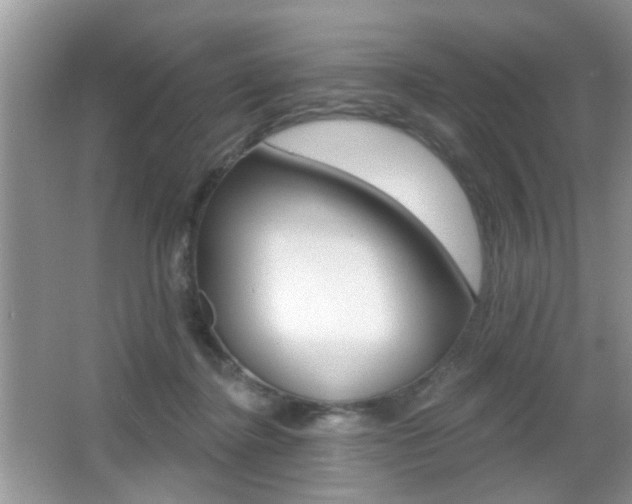 X0000065950364200603030909