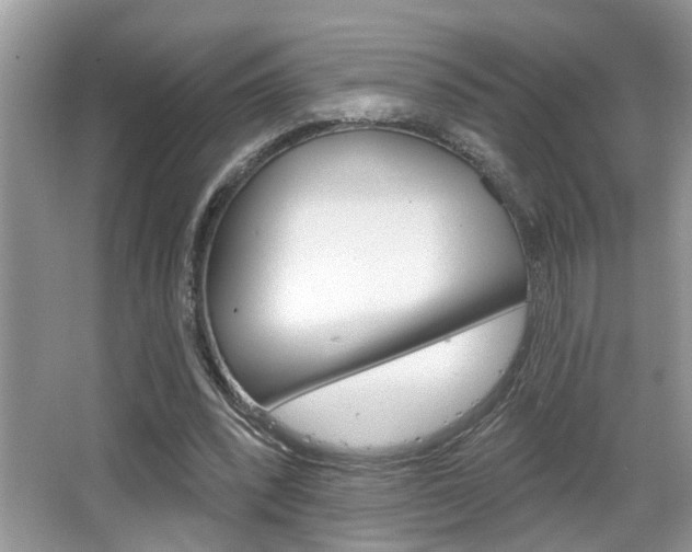 X0000065950392200603030908