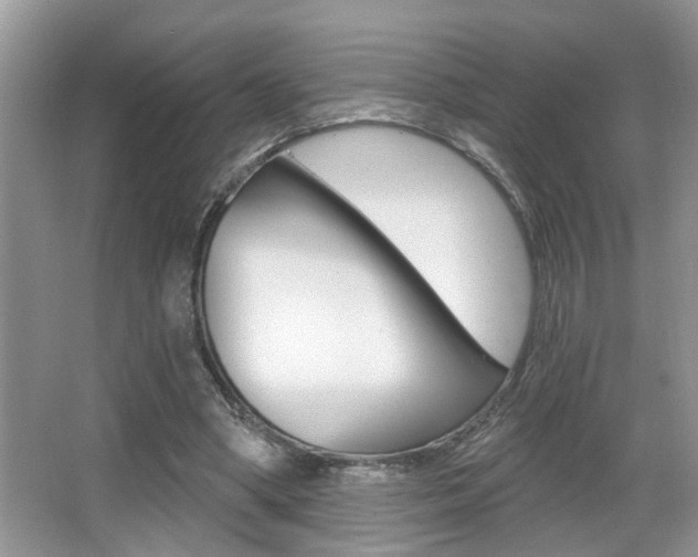 X0000065950394200603030908