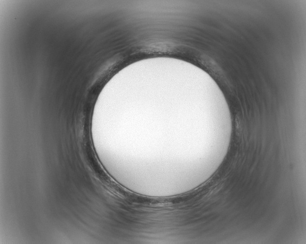 X0000065950396200603030908