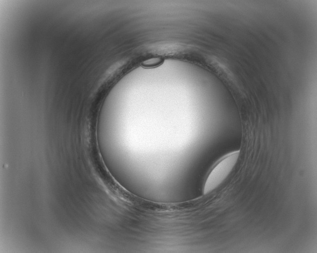 X0000065950400200603030908