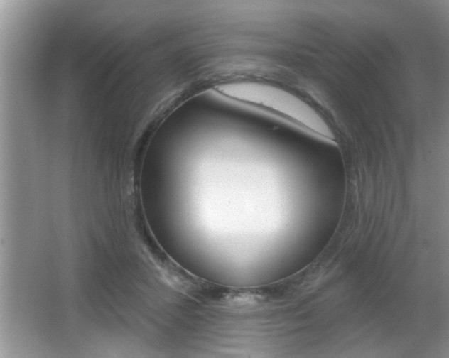 X0000065950407200603030908