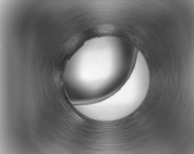 X0000065950428200603030908