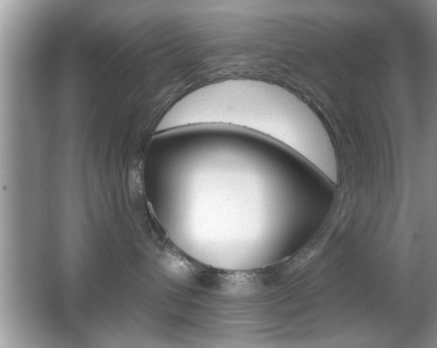 X0000065950432200603030908