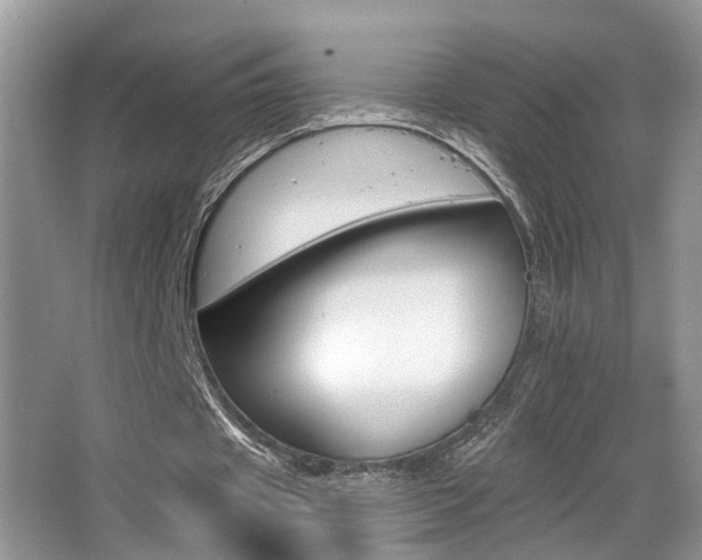 X0000065950433200603030907