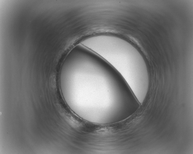 X0000065950447200603030907