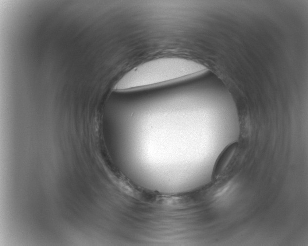 X0000065950472200603030907