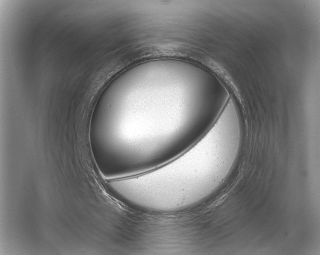 X0000065950481200603030907