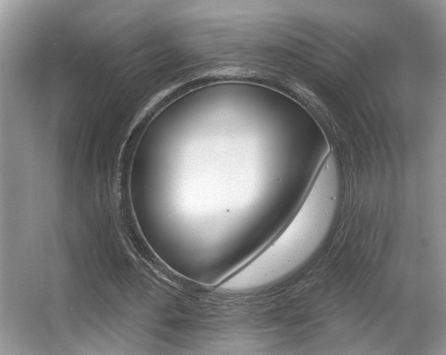 X0000065950484200603030907