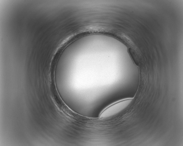 X0000065950488200603030907