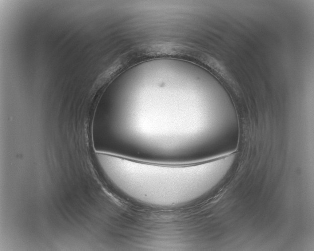 X0000065950489200603030907
