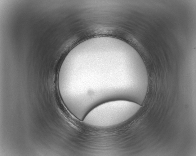 X0000065950490200603030907