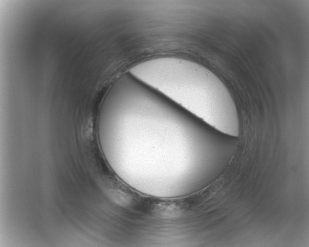 X0000065950502200603030906