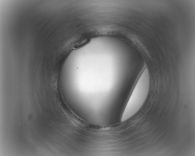 X0000065950505200603030906