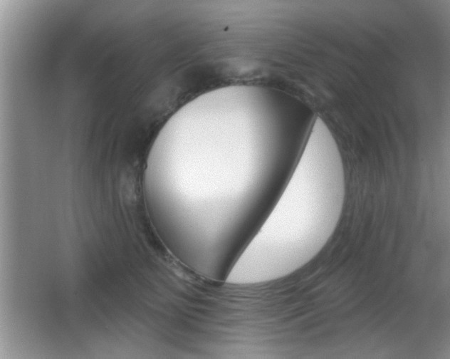 X0000065950515200603030906