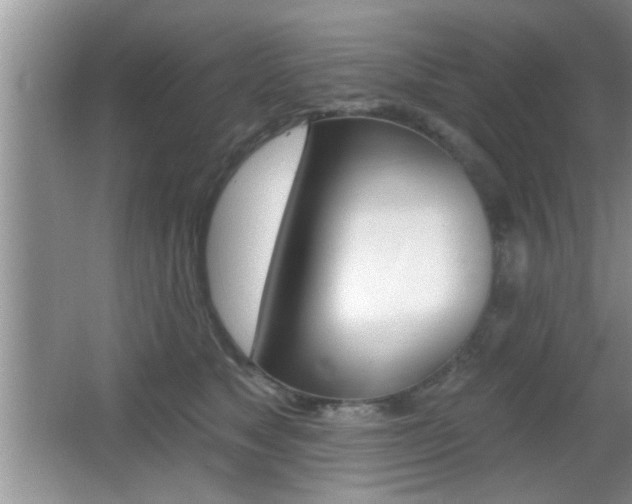 X0000065950517200603030906