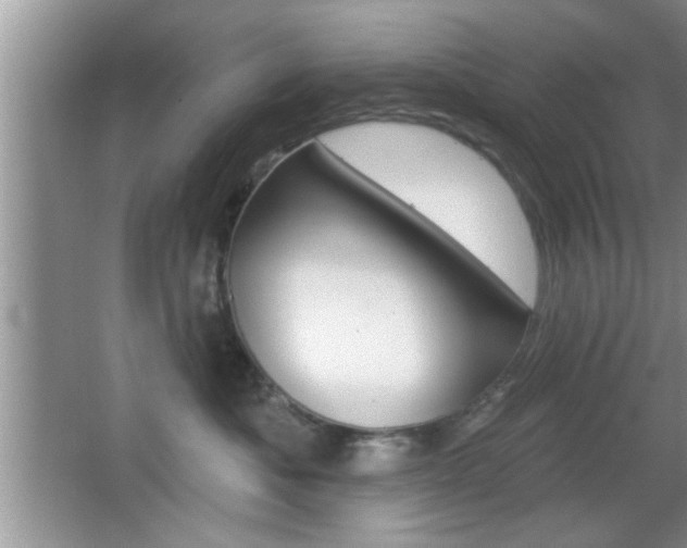 X0000065950525200603030906