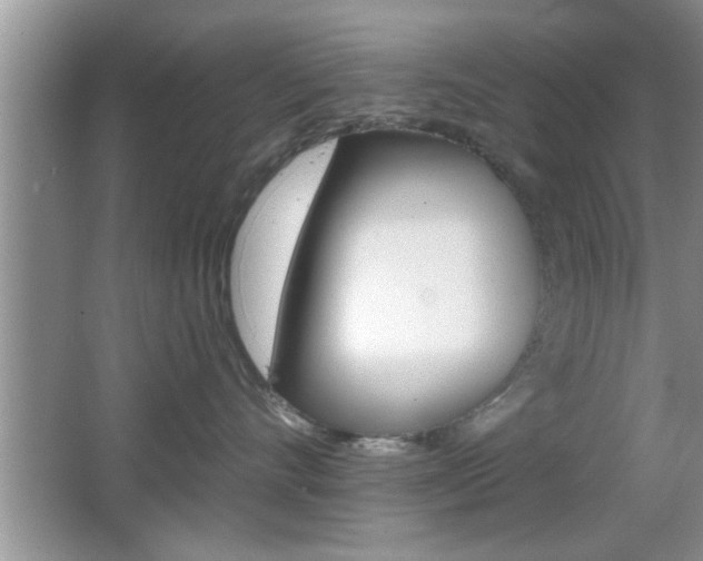 X0000065950528200603030906
