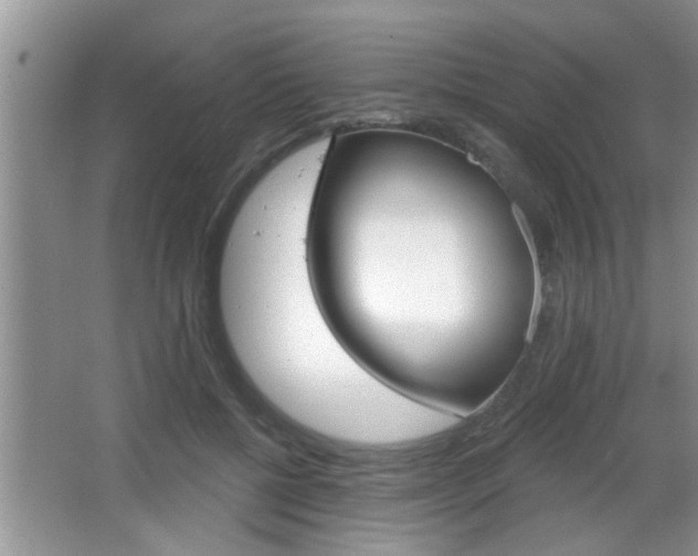 X0000065950552200603030906