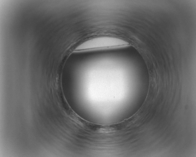 X0000065950556200603030906