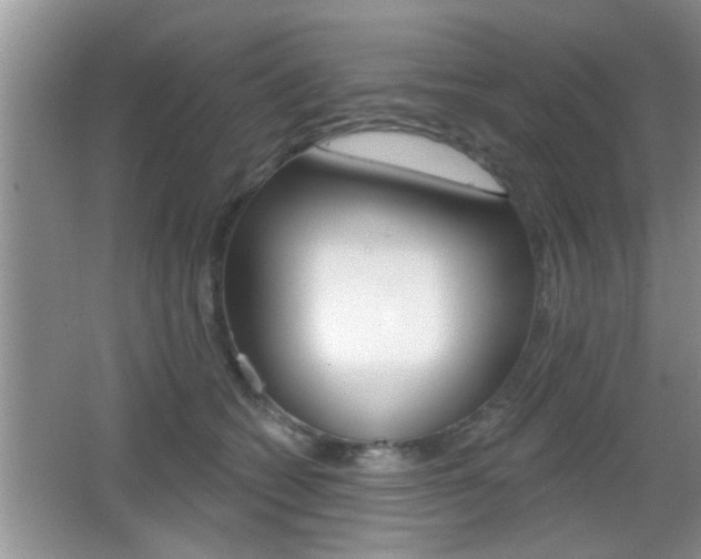 X0000065950562200603030906