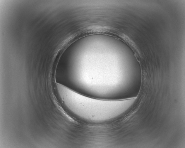X0000065950581200603030905