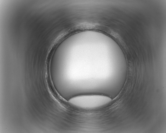 X0000065950582200603030905