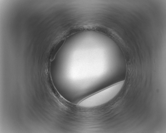 X0000065950593200603030905