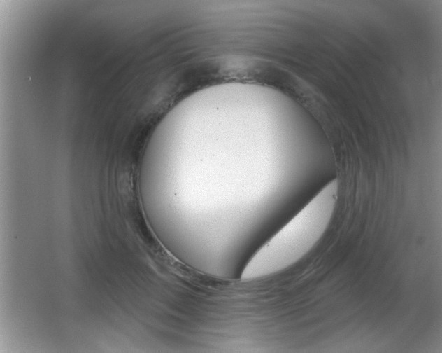 X0000065950603200603030905