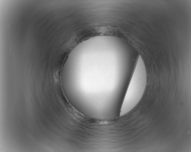 X0000065950611200603030905