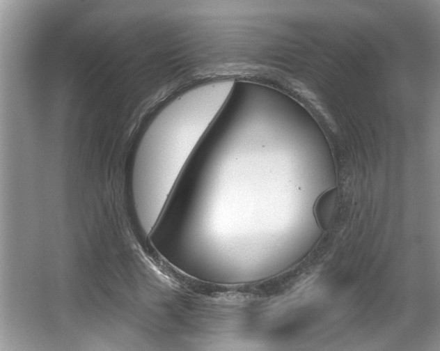 X0000065950633200603030904