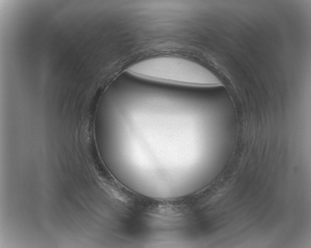 X0000065950641200603030904